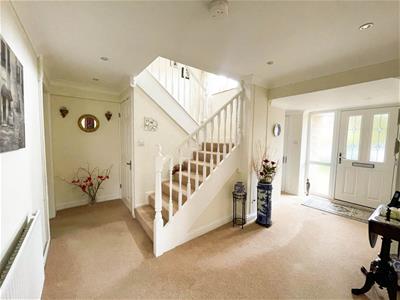 Picture 7